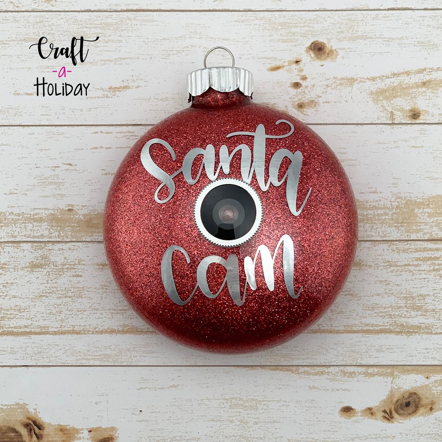 Santa Cam Ornament